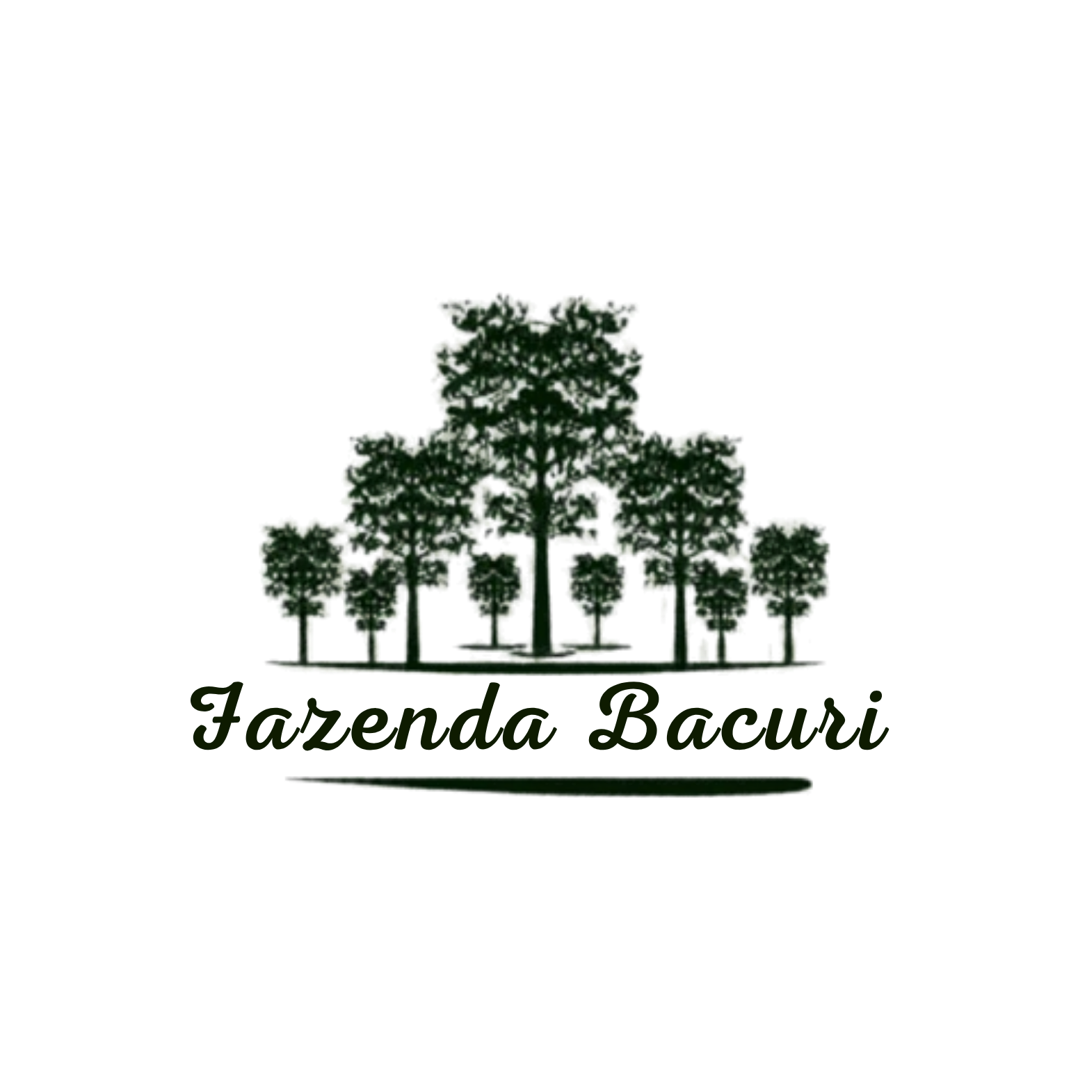 Fazenda Bacuri
